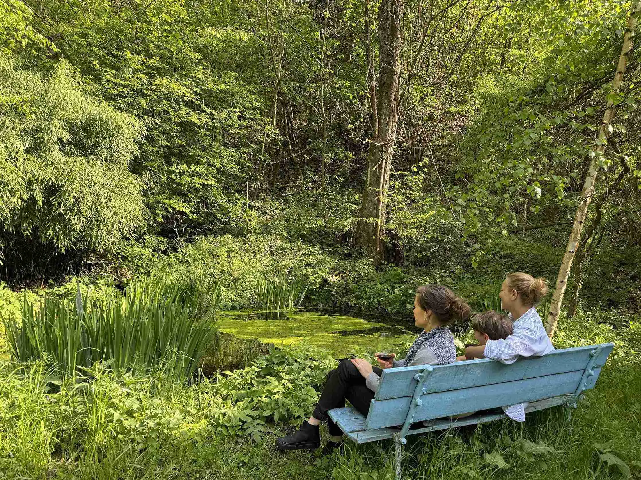 pond-bench