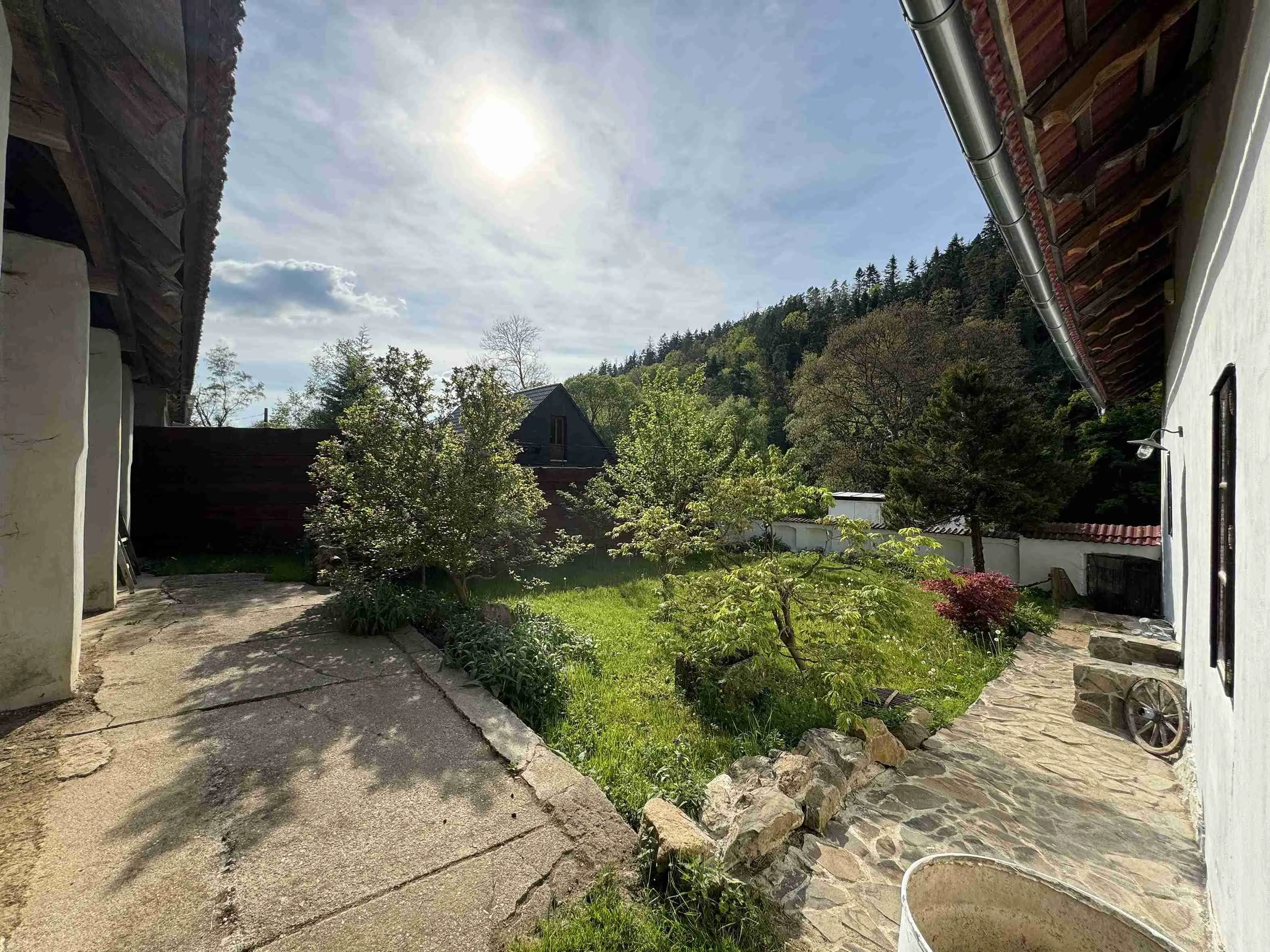 yard-fisheye