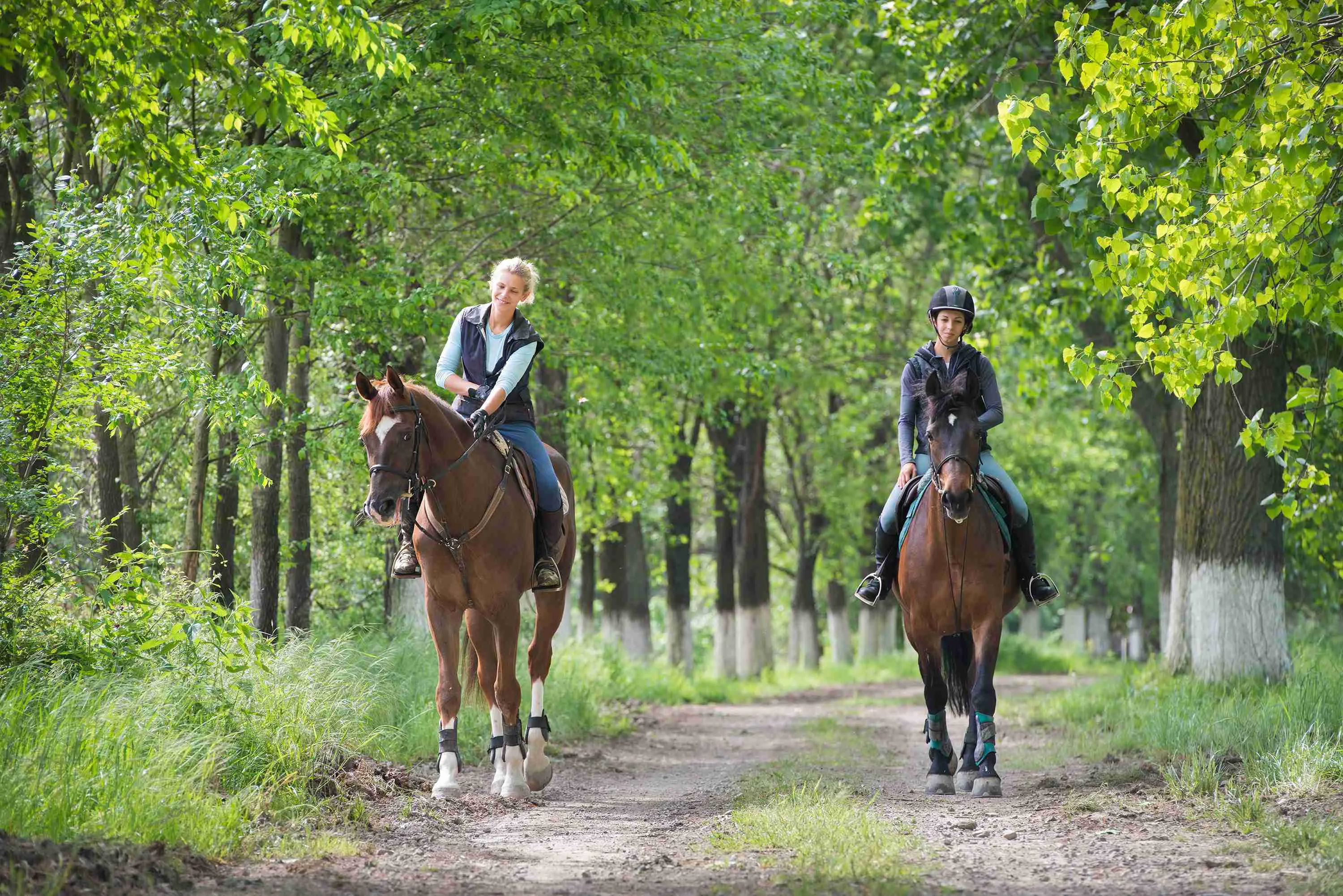 horseback-riding